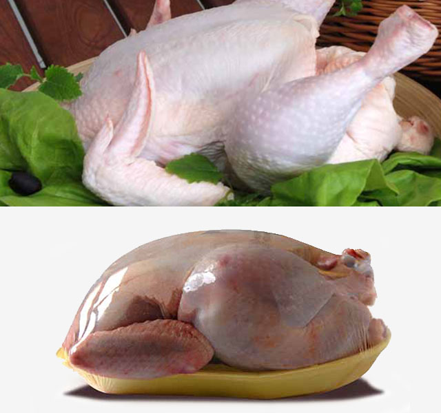 Avícola