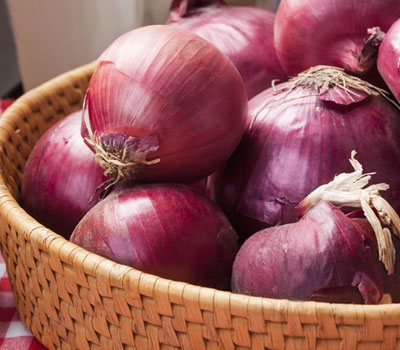 Cebolla