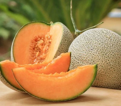 Melón